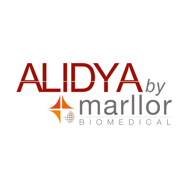 4_Alidya_LOGO__fixed